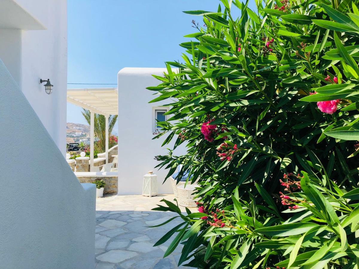 Eleftheria Hotel & Apartments Ornos  Bagian luar foto